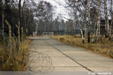 1991