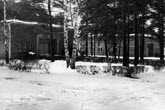 1991