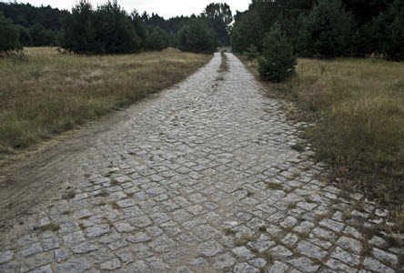 2009  Drewitzer Weg