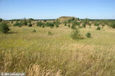2009_GdFL_02_PI