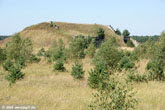 2009_GdFL_03_PI
