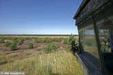2009_GdFL_43_PI