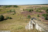 2009_GdFL_46_PI