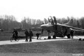 Brandenburg 1988